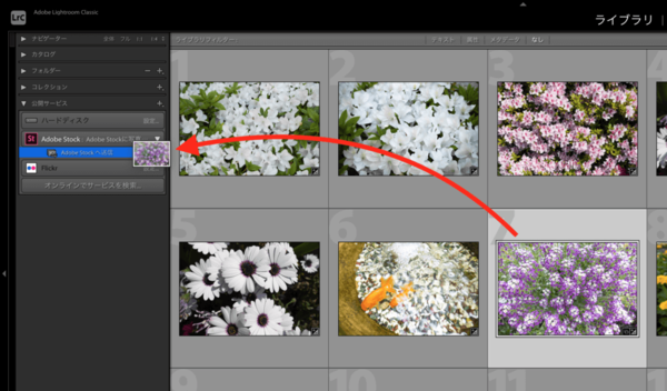 Adobe Lightroom ClassicからAdobe Stockへ写真を送信するための設定