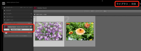 Adobe Lightroom ClassicからAdobe Stockへ写真を送信するための設定