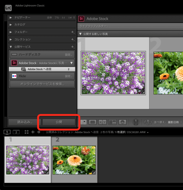 Adobe Lightroom ClassicからAdobe Stockへ写真を送信するための設定／写真を公開