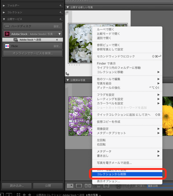 Adobe Lightroom ClassicからAdobe Stockへ写真を送信するための設定／コレクションから削除