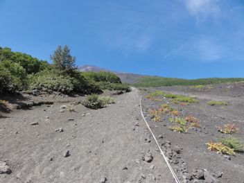 100903_mtfuji09.jpg