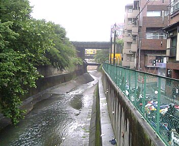 梅雨入りですか？