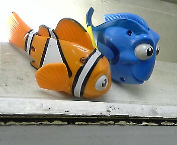 Fainding NEMO