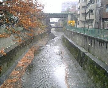 雪@高田馬場